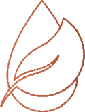 about-icon